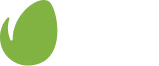 envato